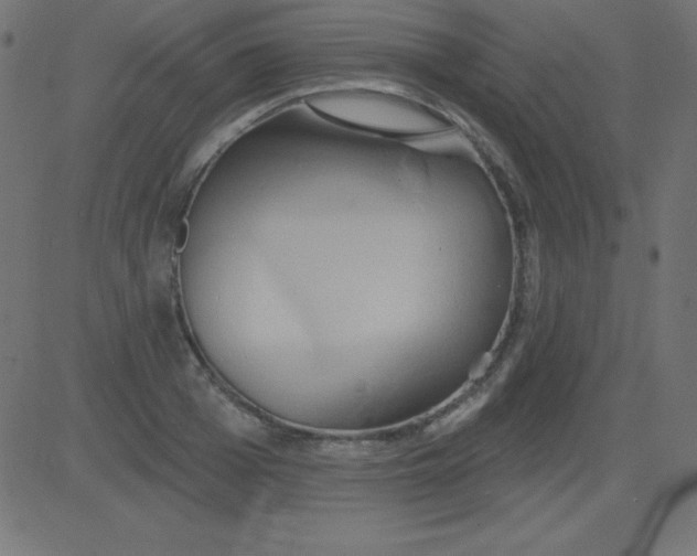 X0000081300985200702012305