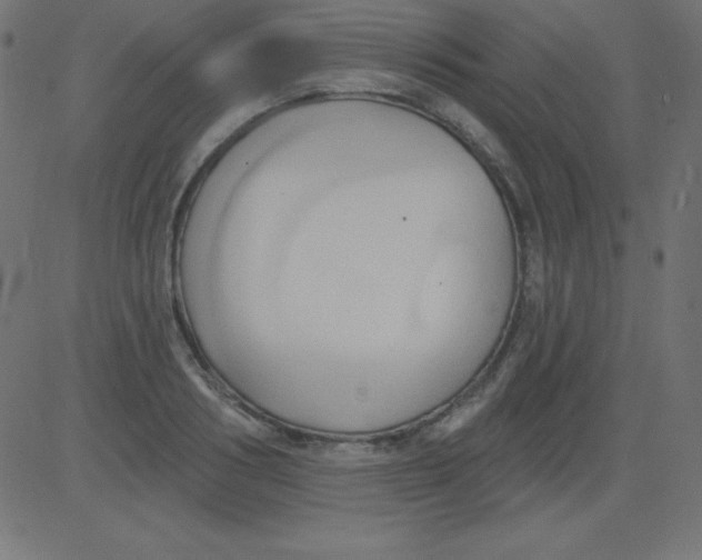 X0000081300986200702012305