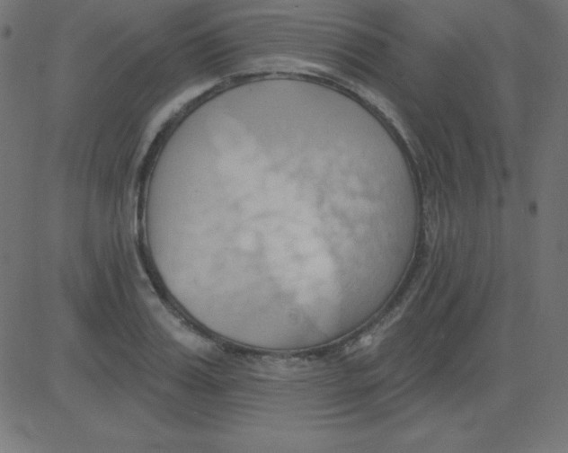 X0000081300987200702012305