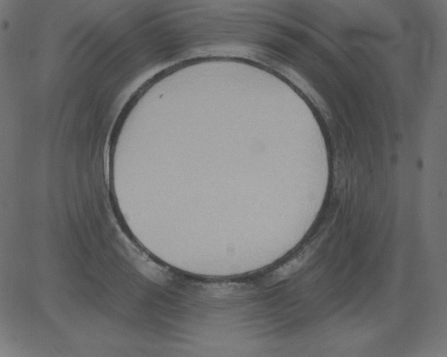 X0000081300988200702012305