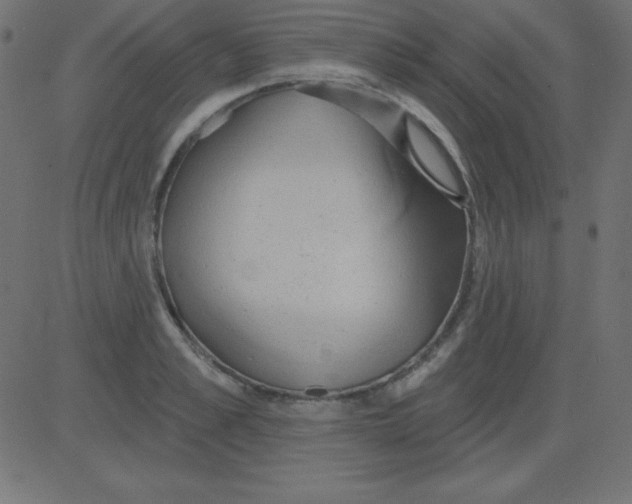 X0000081300989200702012305