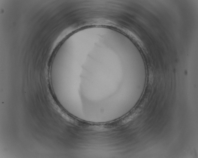 X0000081300990200702012305