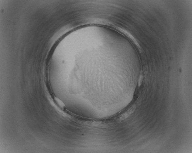 X0000081300991200702012305