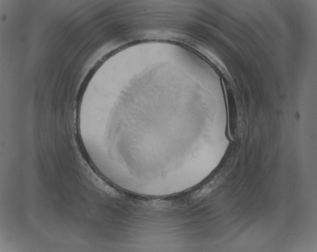 X0000081300992200702012305