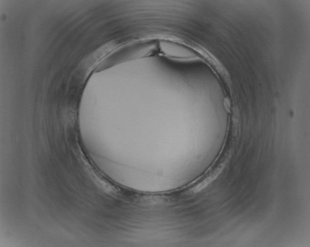 X0000081300993200702012305