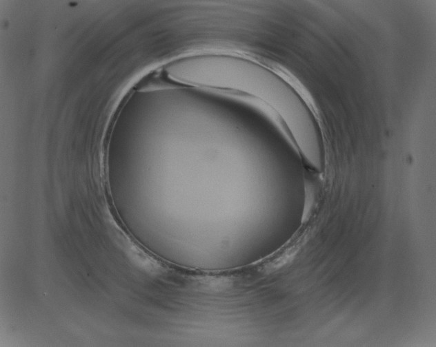 X0000081300996200702012305