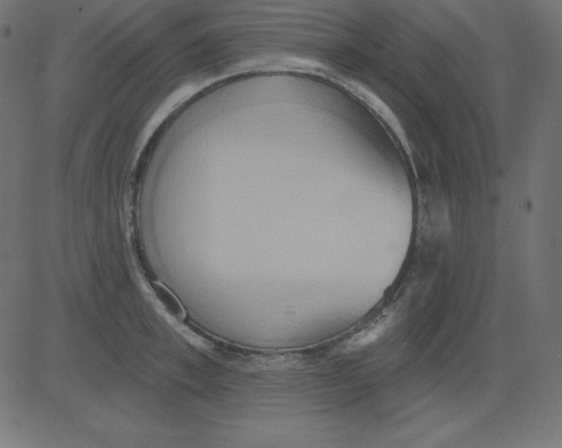 X0000081300997200702012305