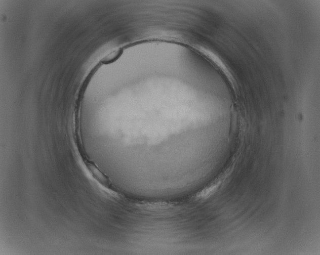 X0000081300999200702012305