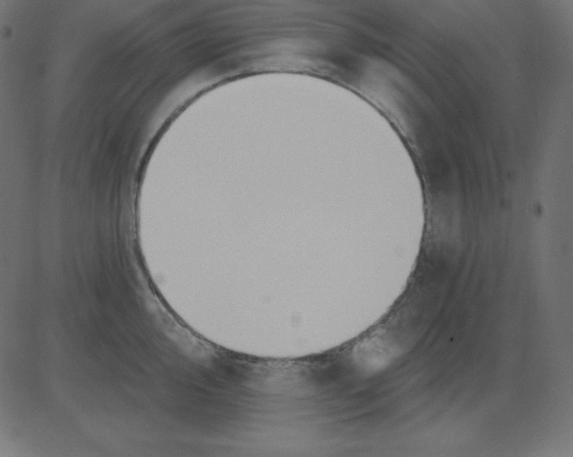 X0000081301000200702012305