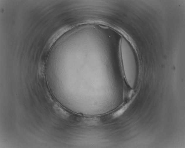 X0000081301001200702012305