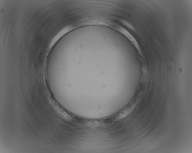 X0000081301002200702012305