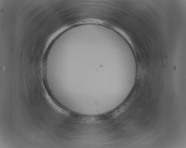 X0000081301003200702012305