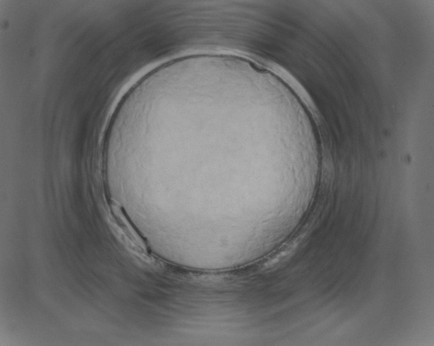 X0000081301004200702012304