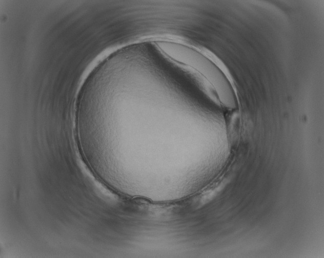 X0000081301005200702012304