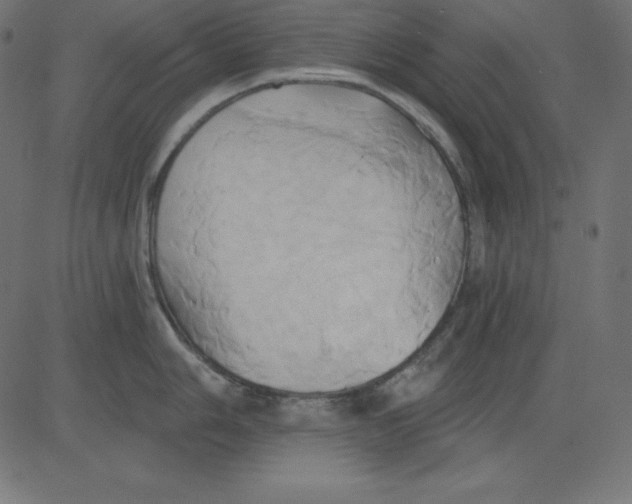 X0000081301006200702012304