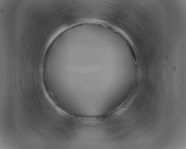 X0000081301007200702012304