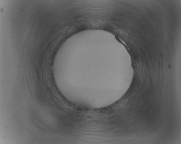 X0000081301009200702012304