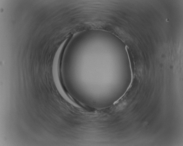 X0000081301010200702012304