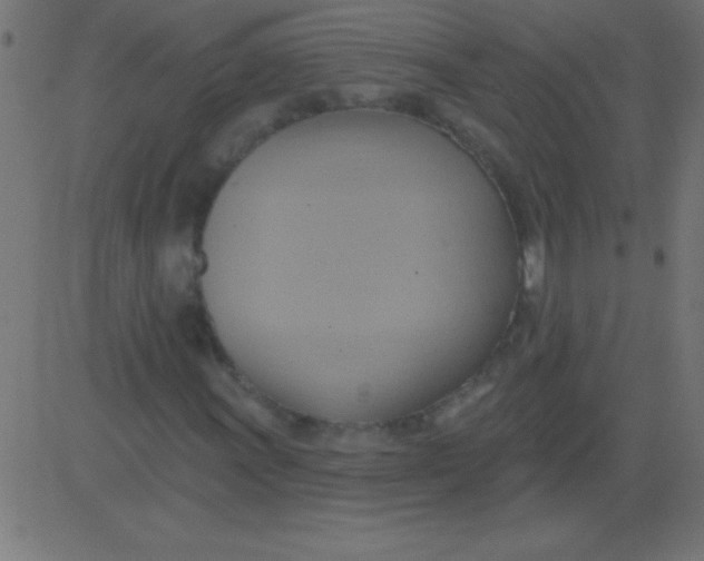 X0000081301011200702012304