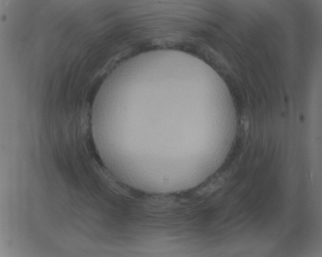 X0000081301012200702012304