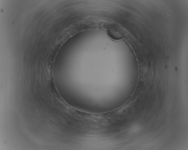 X0000081301013200702012304