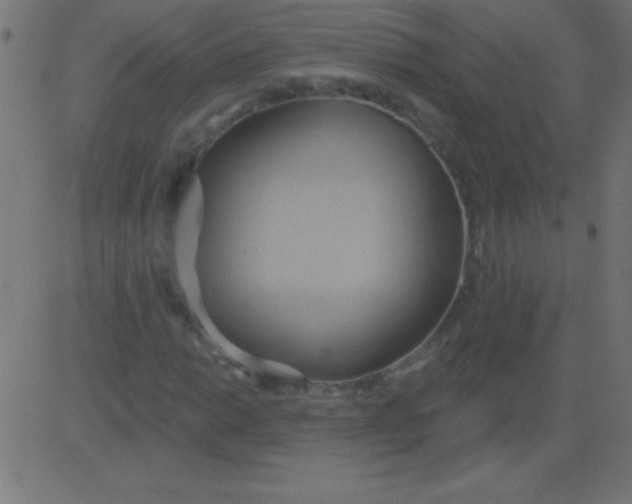 X0000081301014200702012304