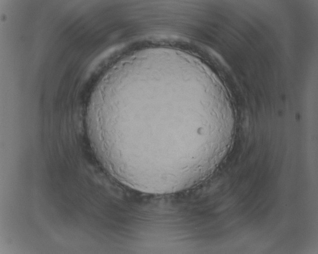 X0000081301016200702012304