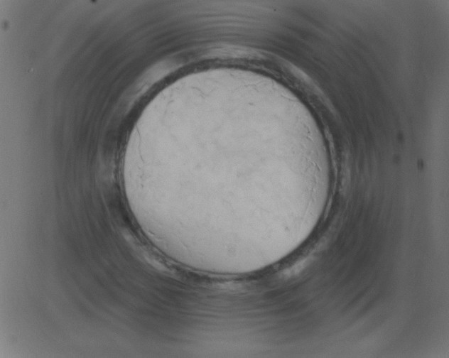 X0000081301017200702012304