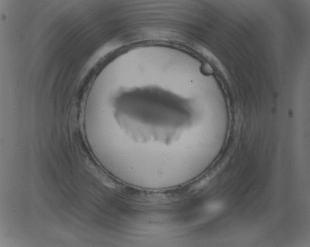 X0000081301019200702012304