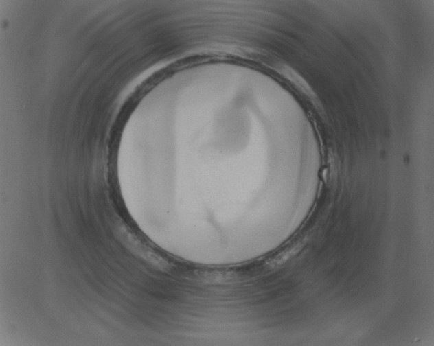 X0000081301020200702012304