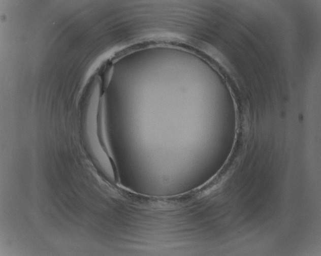 X0000081301022200702012304