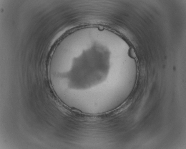 X0000081301023200702012304