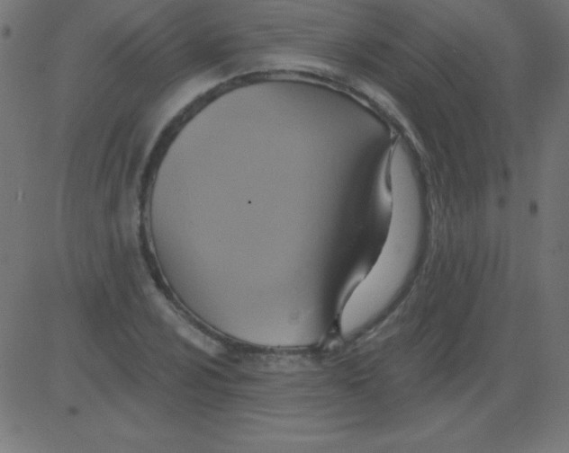 X0000081301024200702012304