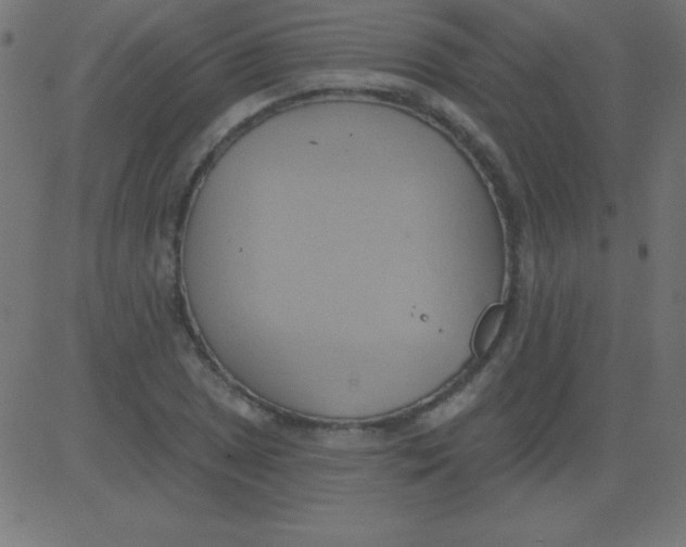 X0000081301025200702012304