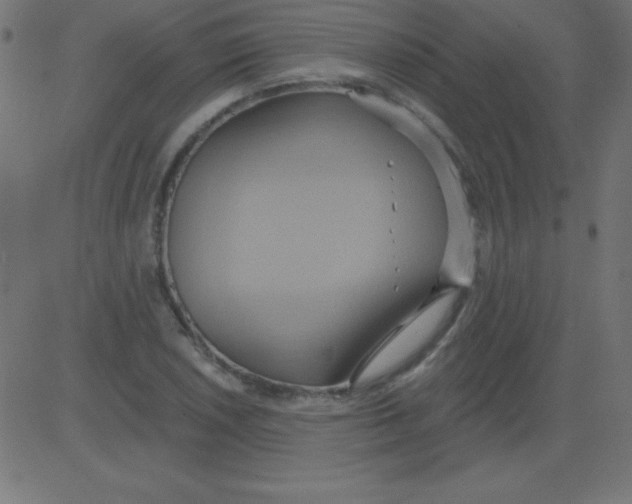 X0000081301026200702012304