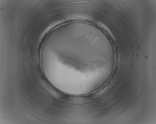 X0000081301027200702012304