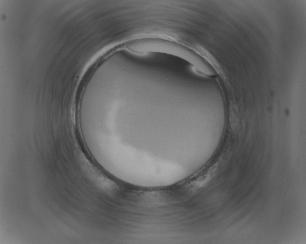 X0000081301028200702012304