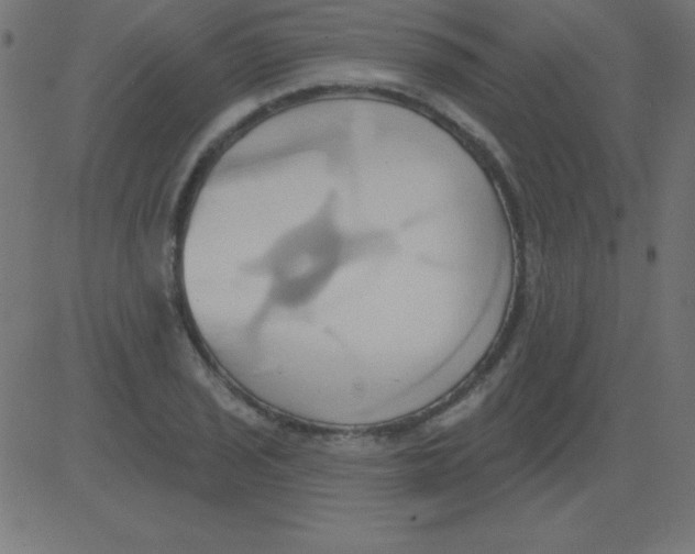 X0000081301029200702012304