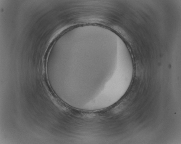 X0000081301031200702012304