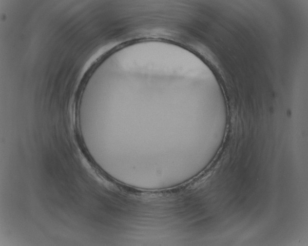 X0000081301032200702012304