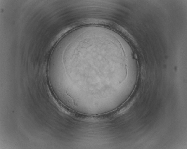 X0000081301033200702012304