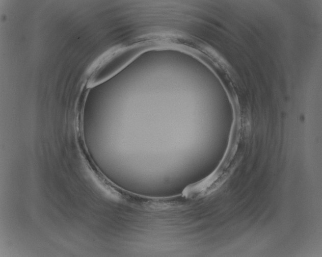 X0000081301034200702012304