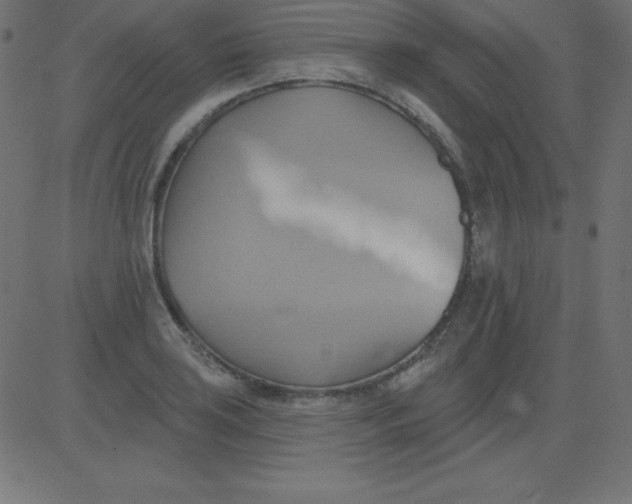 X0000081301035200702012304