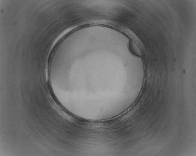 X0000081301036200702012304