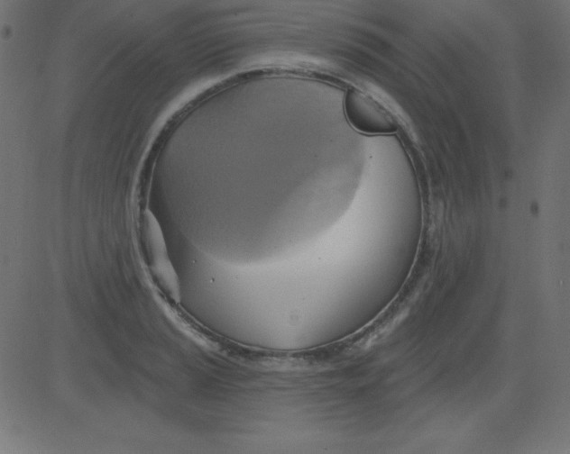 X0000081301037200702012304