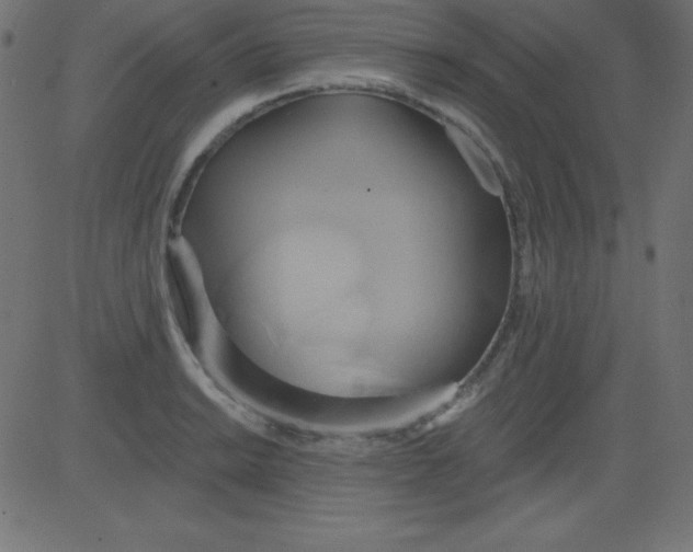 X0000081301038200702012304