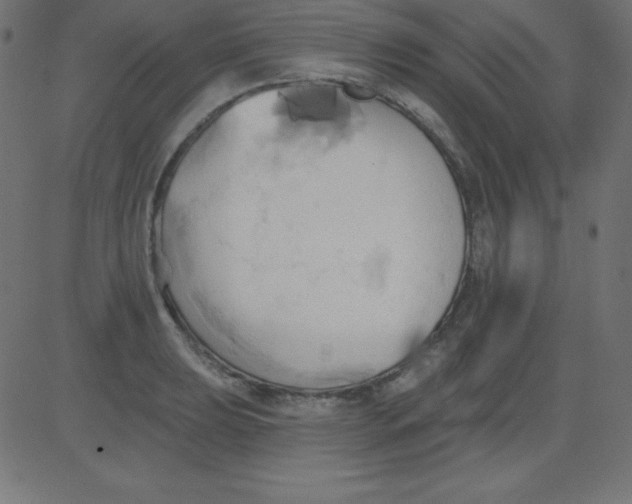 X0000081301039200702012304