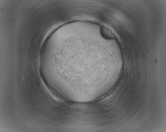 X0000081301040200702012304