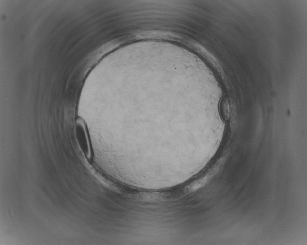 X0000081301041200702012304