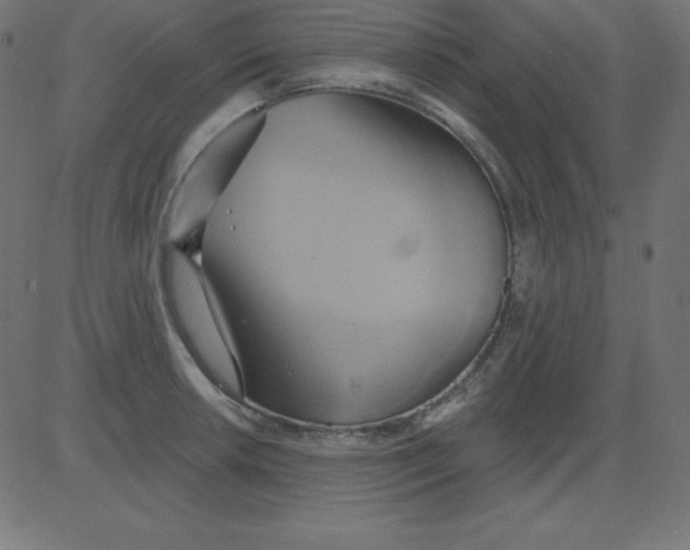 X0000081301042200702012304